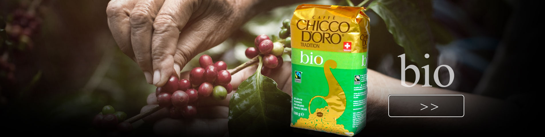 Chicco d'Oro Tradition BIO
